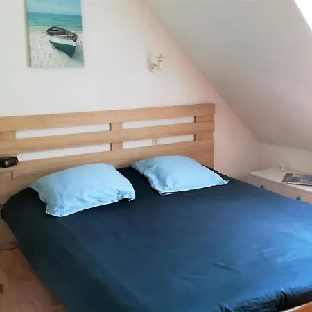 Maison Calme Proche Du Centre De Avec Jardin, Veranda Et Wifi - Fr-1-392-132
