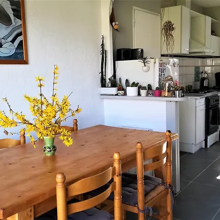 Maison Calme Proche Du Centre De Avec Jardin, Veranda Et Wifi - Fr-1-392-132 Holiday home